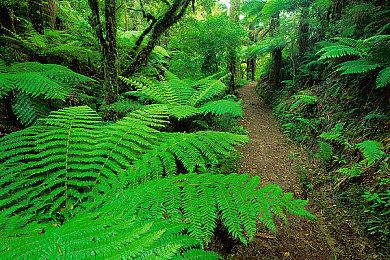 《霍格沃茨之遗》NS版截图 容量仅6.8GB引发玩家担忧